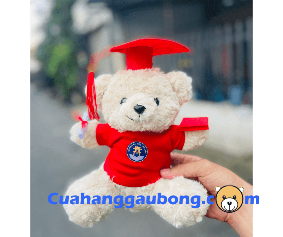 GẤU BÔNG THEO YÊU CẦU ĐẠI HỌC VĂN HIẾN
