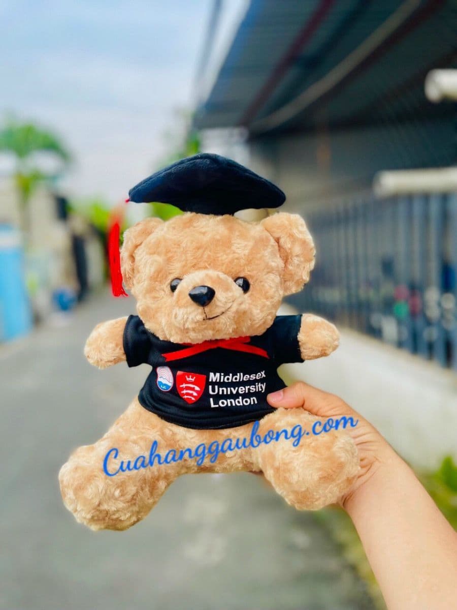 GẤU BÔNG TỐT NGHIỆP ĐẠI HỌC MIDDLESEX LONDON VÀ HỌC VIỆN BÁO CHÍ